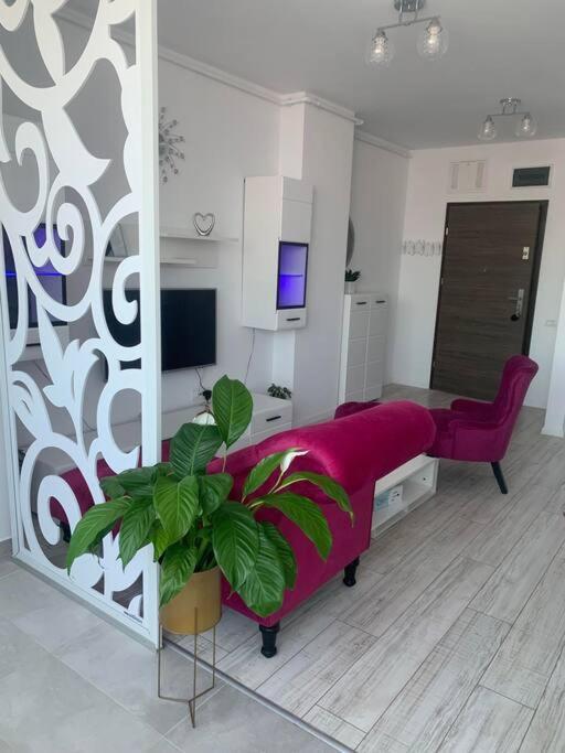 Cool Apartment Timişoara Buitenkant foto